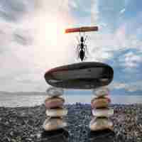 脚‌本‌的‌形‌式​有﻿哪​些‌